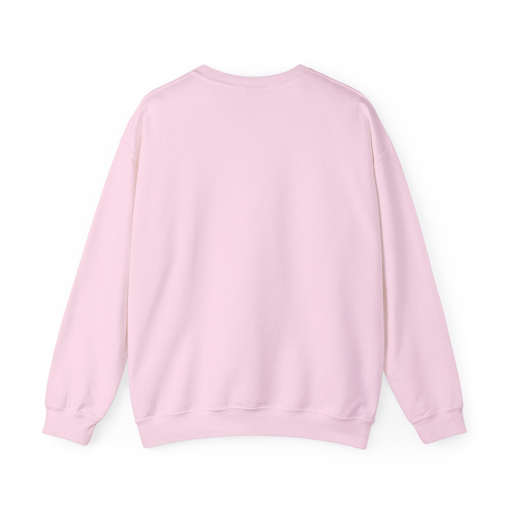 MountainBBQ1 Unisex crewneck