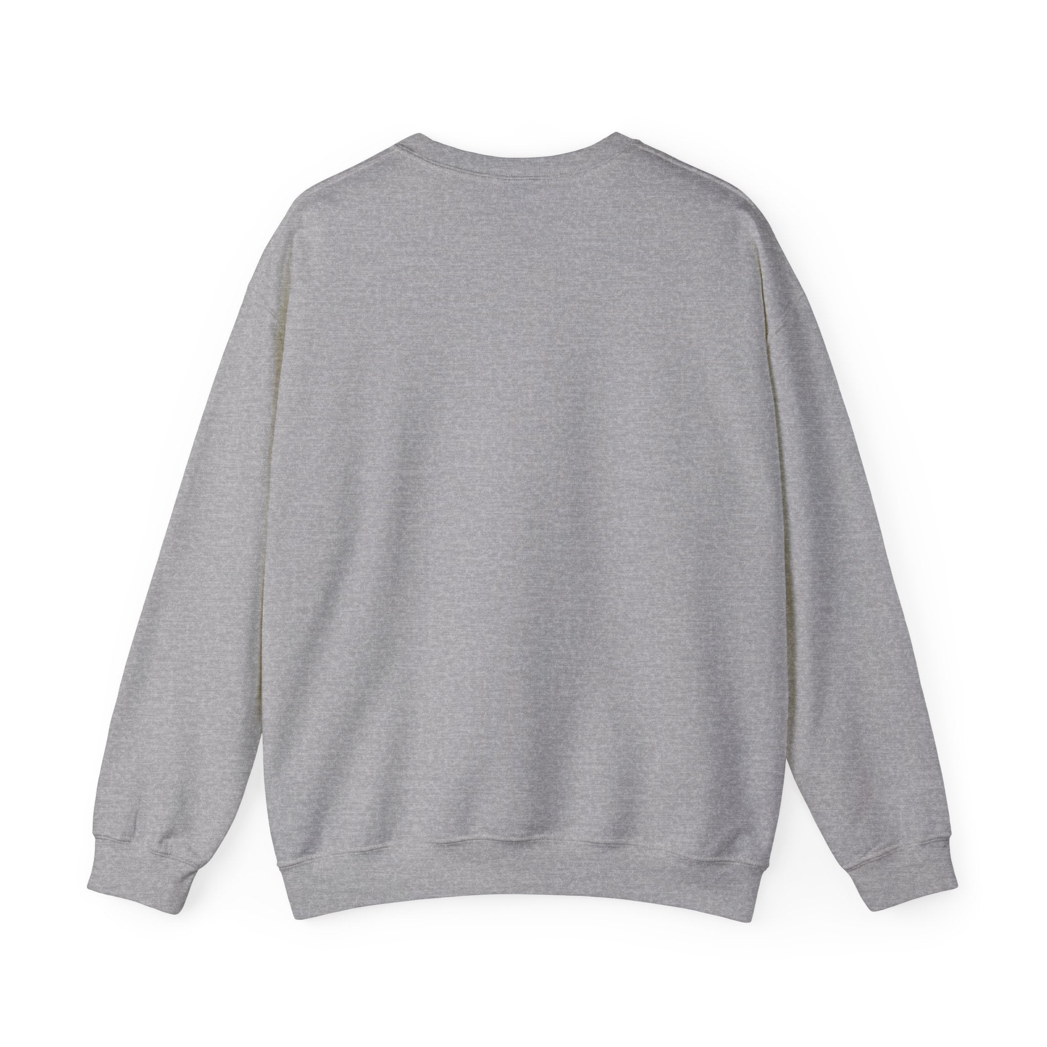 MountainBBQ1 Unisex crewneck